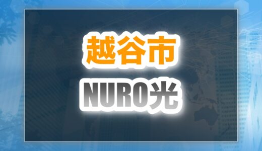 越谷市でNURO光を1年以上契約している私の感想【評価・実体験】
